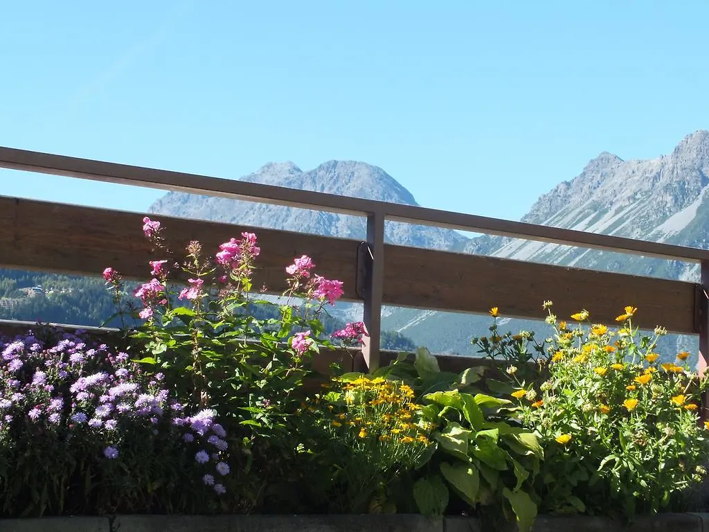 Best House Of Mountain Apartment Bormio 0*,  Italy